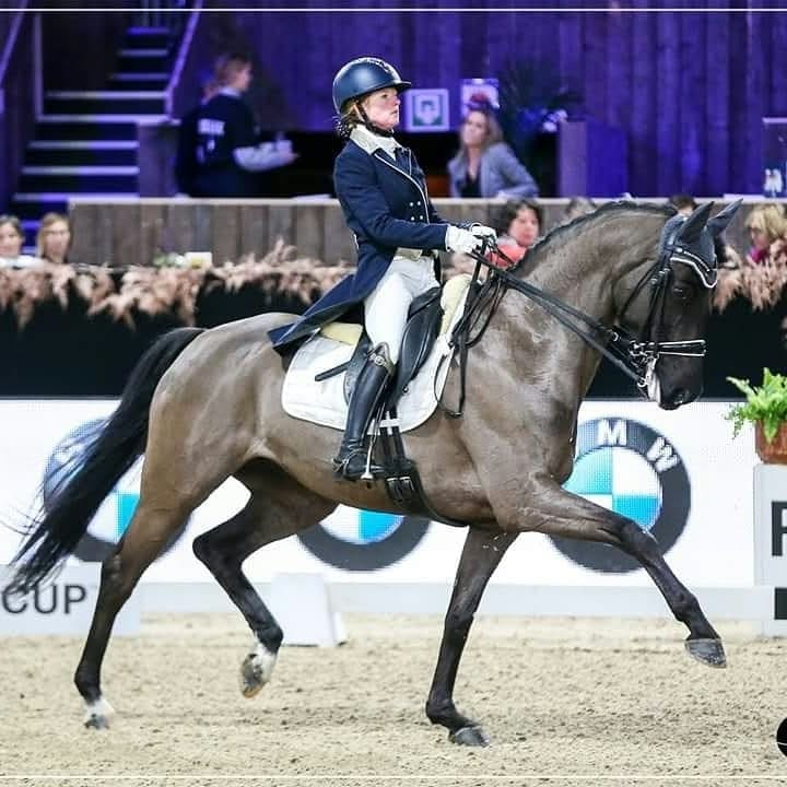 Barbara Masselus rijdt een dressuurproef op een donker paard in een overdekte wedstrijdpiste.